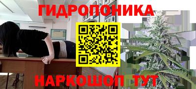 СК Донской